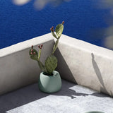 plust plust vaso boom h 40 cm 31 x 26 x 51 cm marea