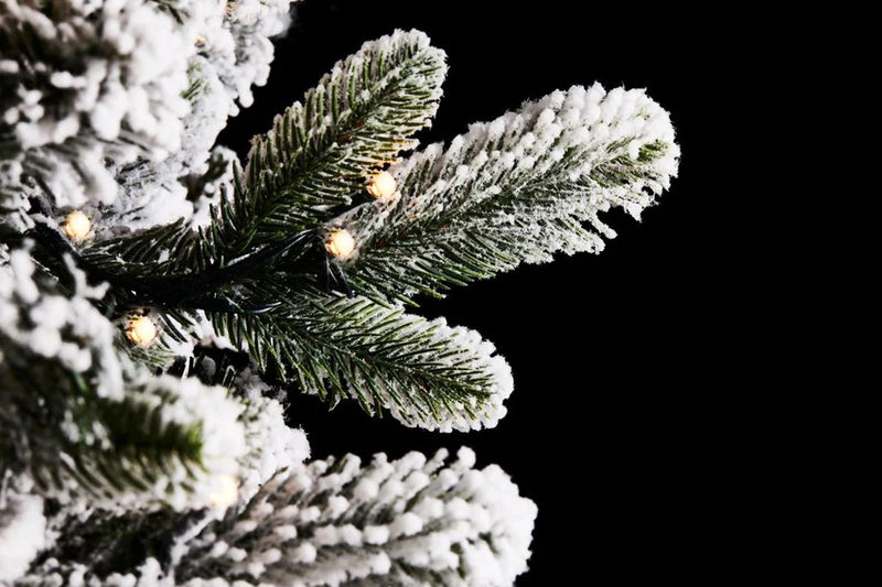 Sapin de Noël en pin Merano enneigé EDG Enzo De Gasperi, H 240 cm, D 148 cm, avec 950 LED blanches et vertes