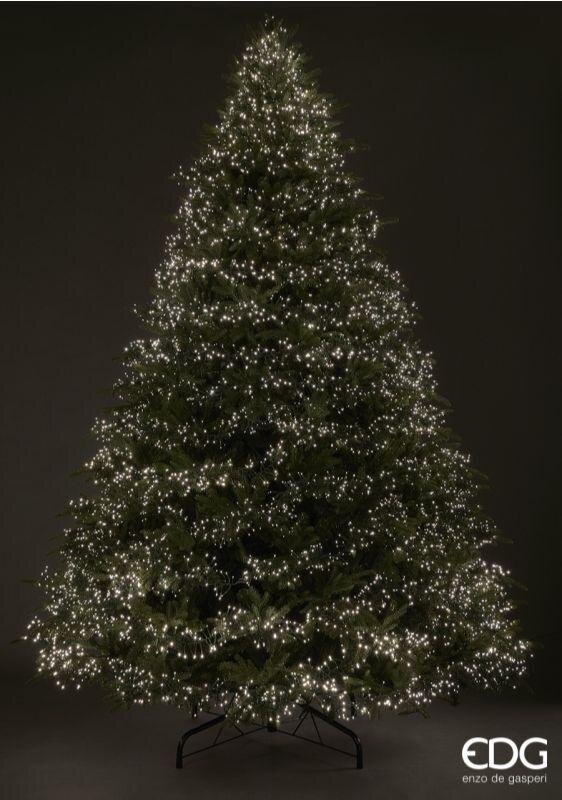 EDG Enzo De Gasperi Sapin de Noël Pin Spark H 300 cm D 205 cm 10 000 Mini-LED Vert