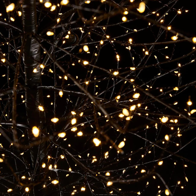 EDG Enzo De Gasperi Noël Hêtre avec socle 2 700 LED H 210 cm P 100 cm Doré