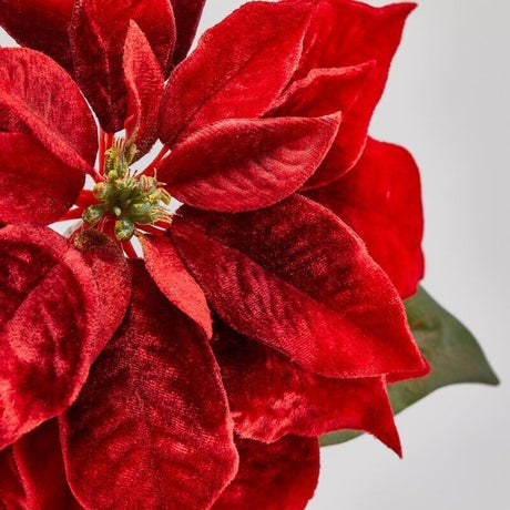 EDG Enzo De Gasperi Stella di Natale Bell en Velours avec Feuilles Red H71 cm – Décoration de Noël