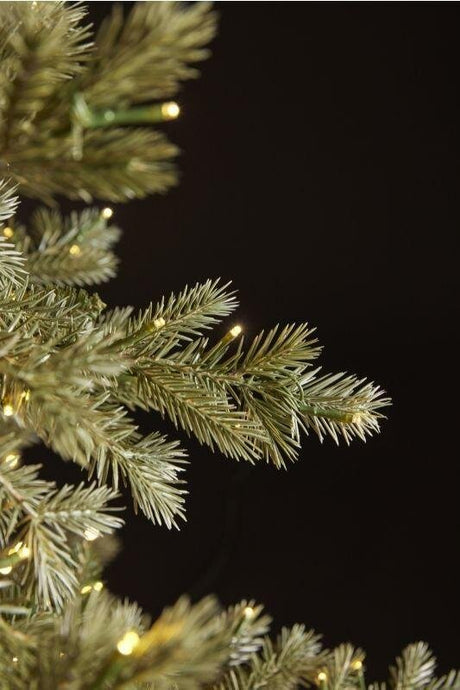 Sapin de Noël EDG Enzo De Gasperi Silver Pine, 4 000 LED, H 210 cm, D 149 cm, IP 44
