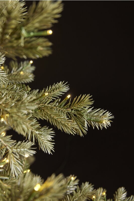 Sapin de Noël EDG Enzo De Gasperi Silver Pine, 5 000 LED, H 240 cm, D 166 cm, IP44