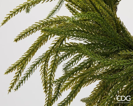 Couronne de Noël EDG Enzo De Gasperi en Cryptomeria Vert Ø35 cm – Guirlande Décorative pour Portes, Murs et Décoration de Noël
