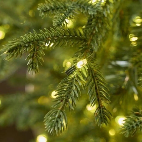 EDG Enzo De Gasperi Pino Natalizio Lucciole con Vaso 1600 LED H150 D 110 cm IP44 Verde – Sapin de Noël Lumineux