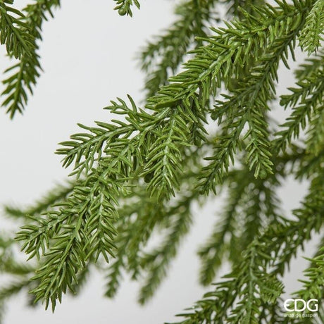 EDG Enzo De Gasperi Feston Natalizio Cryptomeria L260 cm Vert – Guirlande Décorative de Noël
