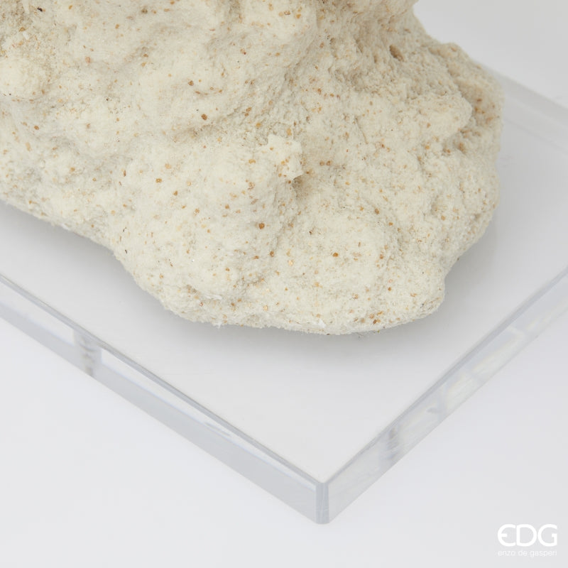 edg enzo de gasperi edg enzo de gasperi scultura corallo h 94 cm l 24 cm l 16 cm ivory ean 8059824482785