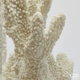 edg enzo de gasperi edg enzo de gasperi scultura corallo h 385 cm l 37 cm l 14 cm ivory ean 8059824482815