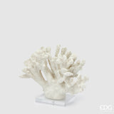 edg enzo de gasperi edg enzo de gasperi scultura corallo h 22 cm l 28 cm l 10 cm ivory ean 8059824482938
