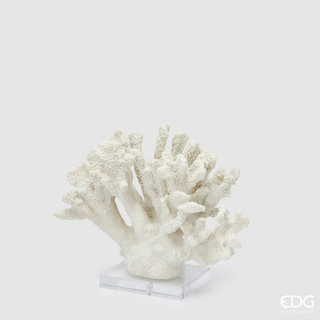 edg enzo de gasperi edg enzo de gasperi scultura corallo h 22 cm l 28 cm l 10 cm ivory ean 8059824482938
