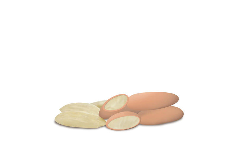 Maxtris Dragées Avola Nuance Pêche 1 Kg