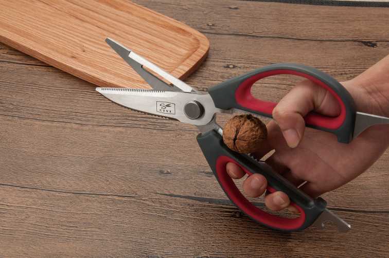 Ciseaux de cuisine Salvinelli 25 cm en acier