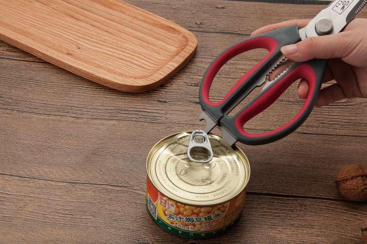 Ciseaux de cuisine Salvinelli 25 cm en acier