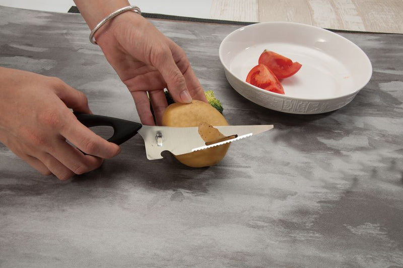 Ciseaux Salvinelli Santoku 25 Cm Acier