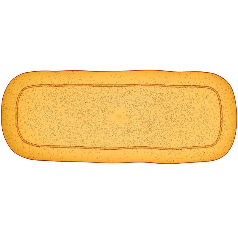 Zani Serafino Plateau Rectangulaire Grand Memento Synth en Méthacrylate Couleur Mandarin