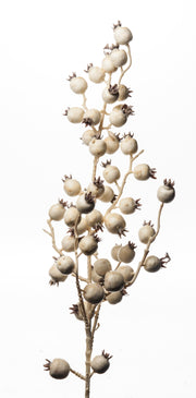 Branche de Noël Baies ARPIMEX 80 cm Crème