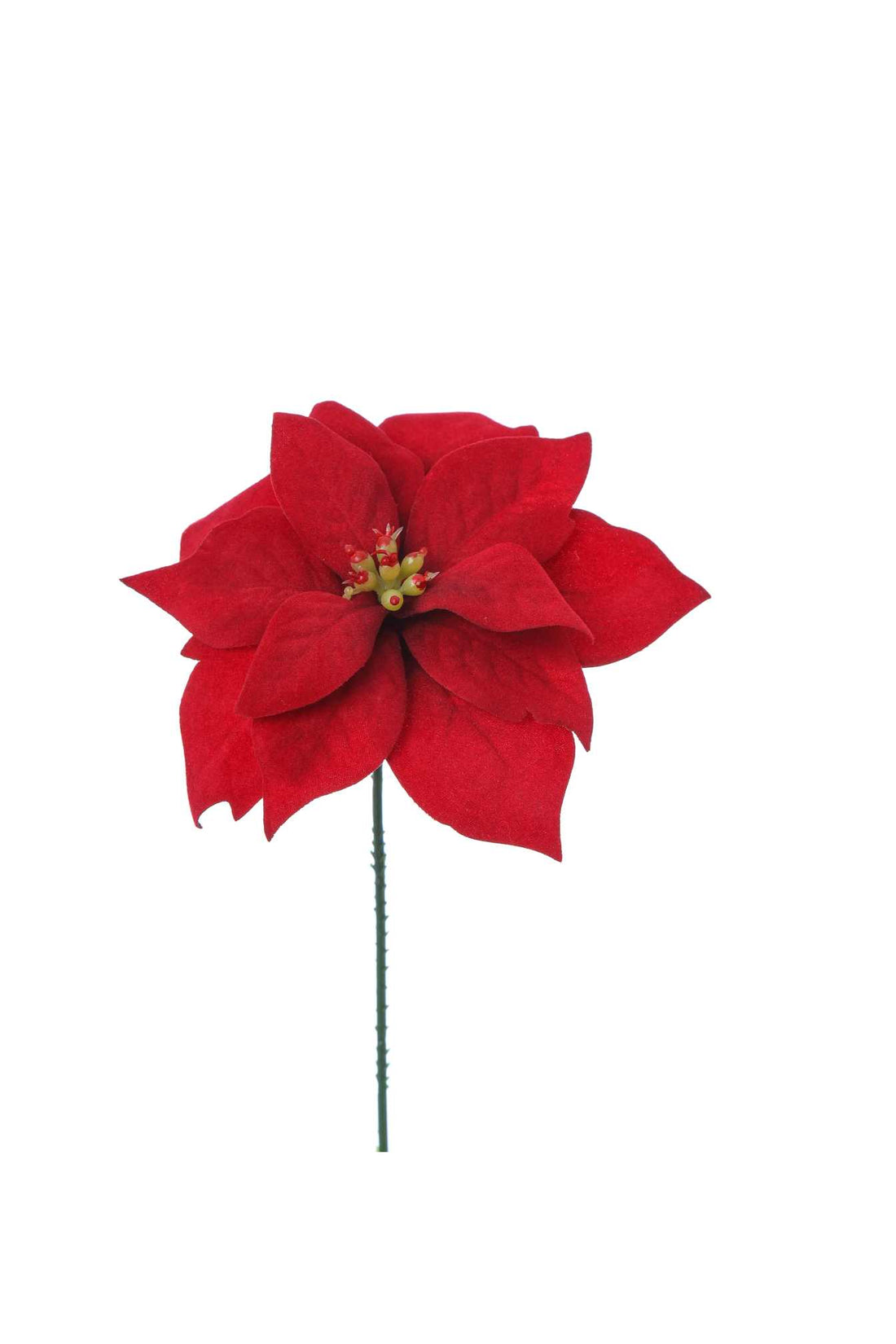 Mini étoile de Noël ARPIMEX H 18 cm