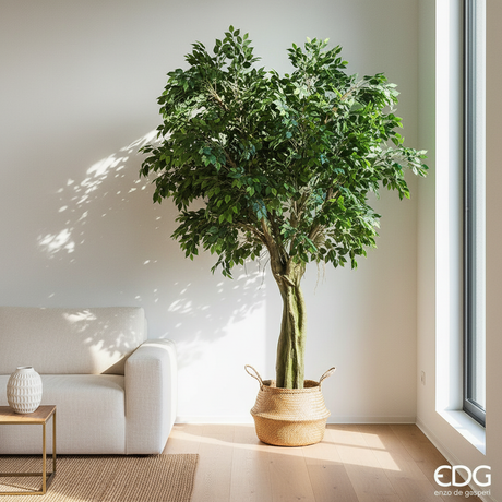 Ficus artificiale grande 340cm in living room