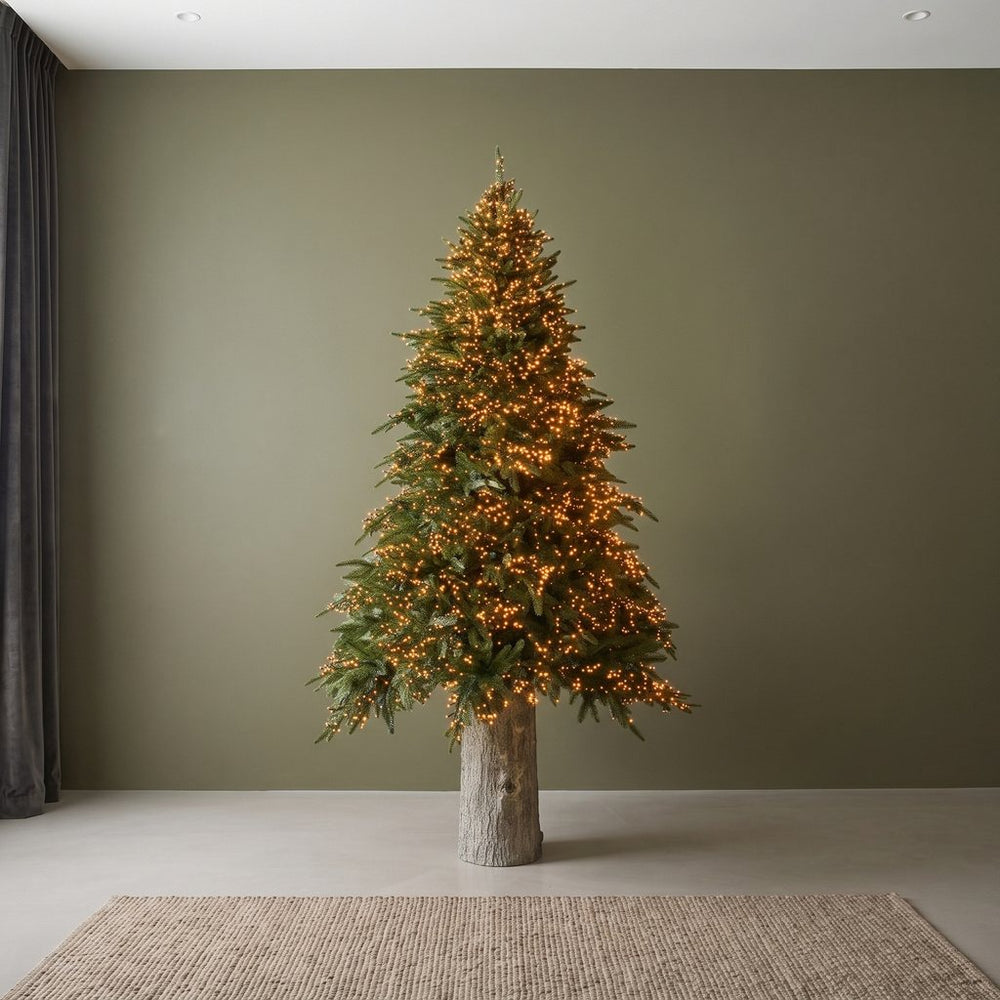 Sapins