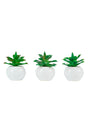 immagine-1-arpimex-agave-in-vaso-di-ceramica-d-14-cm-1-pz-ean-8018318677717