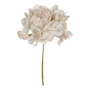 ARPIMEX Pick Hortensia de Noël H 32 cm Blanc