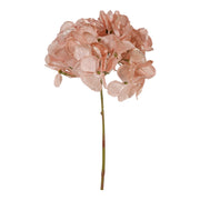 ARPIMEX Pick Hortensia de Noël H 32 cm Rose