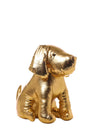 immagine-1-arpimex-cagnolino-gold-h-25-cm-ean-8018318523250