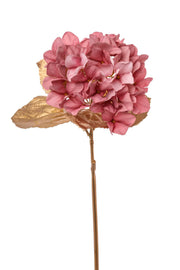 Hortensia simple ARPIMEX H 60 cm Rose