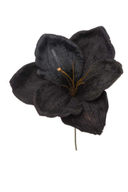 Médiator ARPIMEX Amarillys D 16 Cm H 18 Cm Noir