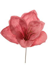 ARPIMEX Médiator Amarillys D 16 Cm H 18 Cm Rose