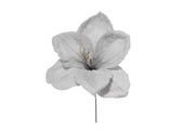 ARPIMEX Pick Amaryllis Snowy Christmas 23 cm Bleu