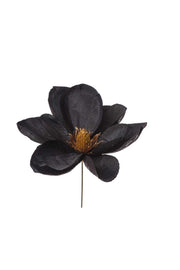 ARPIMEX Pick Magnolia noir