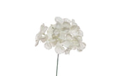 Hortensia enneigé ARPIMEX Pick 19 cm Blanc