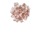 Hortensia enneigé de Noël ARPIMEX Pick PVC 21 cm Poudre