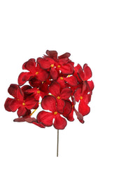 Hortensia rose ARPIMEX Pick
