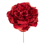 Pivoine ARPIMEX Pick 23 cm Rouge