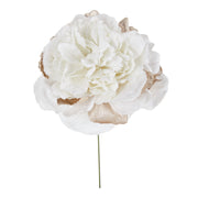 ARPIMEX Pick Pivoine H 23 Cm Beige