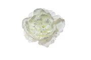 Pivoine des neiges ARPIMEX Pick 23 cm Blanc