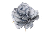 Pivoine simple bleue ARPIMEX Pick