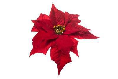 immagine-1-arpimex-pick-poinsettia-stella-di-natale-velvet-rosso-ean-8018318373923