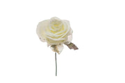 ARPIMEX Pick Rosino Blanc Neige