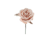 Poudre de neige ARPIMEX Pick Rosino