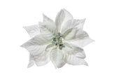 ARPIMEX Pick Étoile de Noël Poinsettia Snowy 23 cm Blanc
