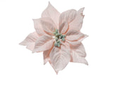 ARPIMEX Pick Étoile de Noël Poinsettia Snowy 23 cm Poudre