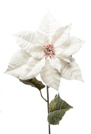 ARPIMEX Poinsettia Étoile de Noël enneigée H 80 cm Blanc