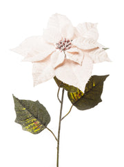 ARPIMEX Poinsettia Étoile de Noël Neigeux H 80 Cm Poudre