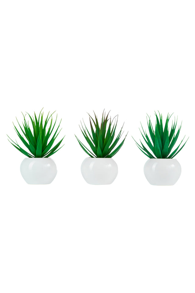 immagine-1-arpimex-tillandsia-in-vaso-di-ceramica-d-18-cm-1-pz-ean-8018318677748