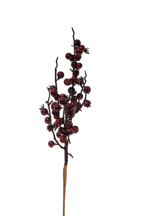 immagine-1-arpimex-tralcio-bacche-38-cm-burgundy-ean-8018318409530