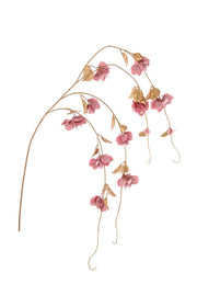 Pousse de bougainvillier ARPIMEX H 155 cm Rose