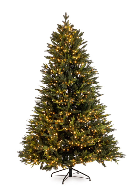 immagine-1-bizzotto-albero-berkshire-h-210-cm-5-436-rami-1-900-led-ean-8051836500235